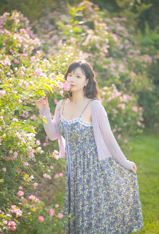 image-20251105192458356