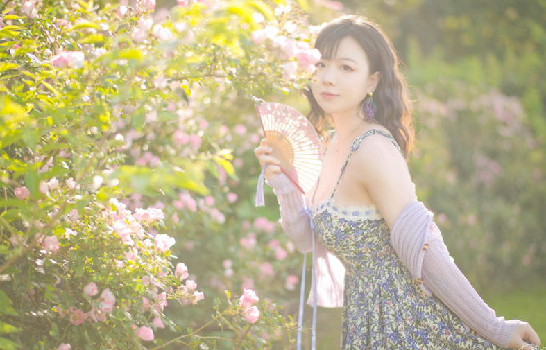 image-20251105192935026