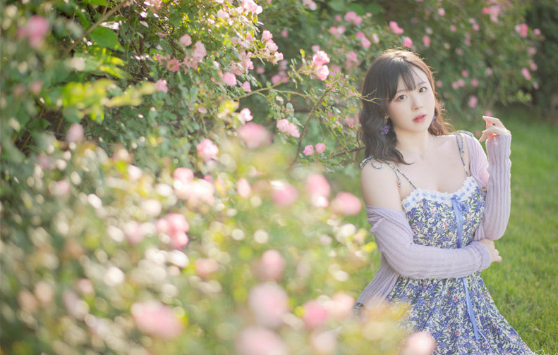 image-20251105192942597