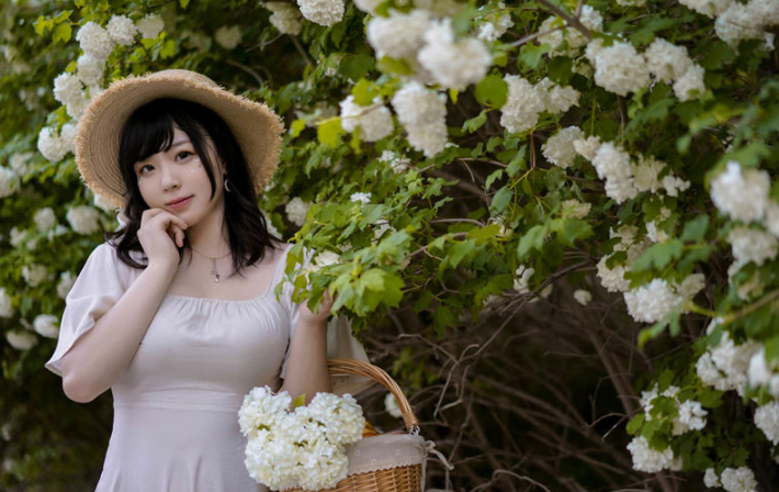 image-20251125185646417