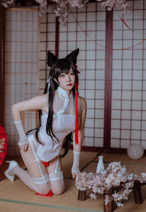 image-20251205192047228