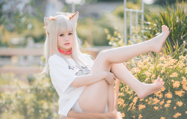 image-20251216190404449