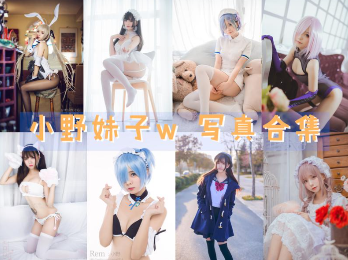 小野妹子w写真图片包合集[47套][Cosplay] [持续更新]