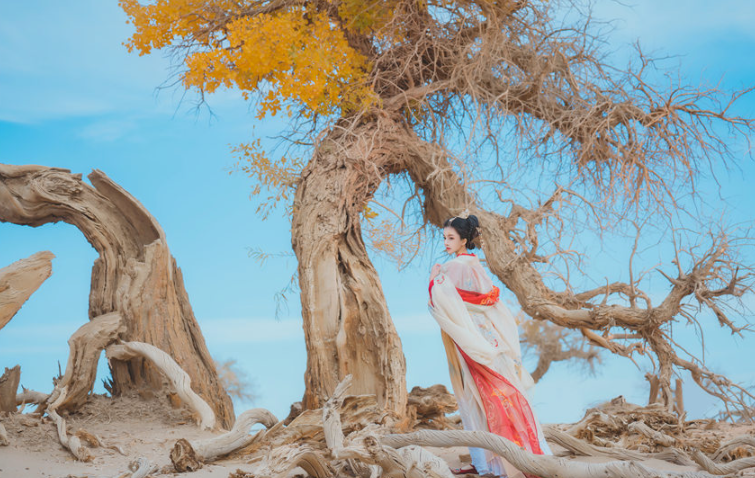 image-20260416094153510